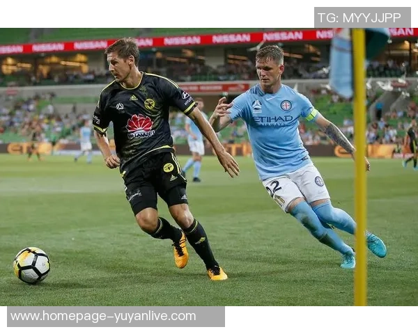 惠灵顿凤凰与悉尼足球队对决赛前深度分析与战术展望